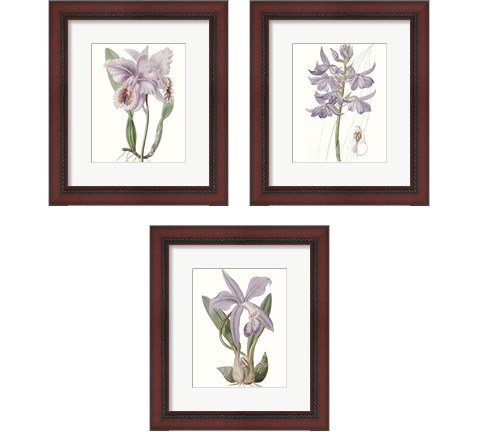 Lavender Beauties 3 Piece Framed Art Print Set by Edwards