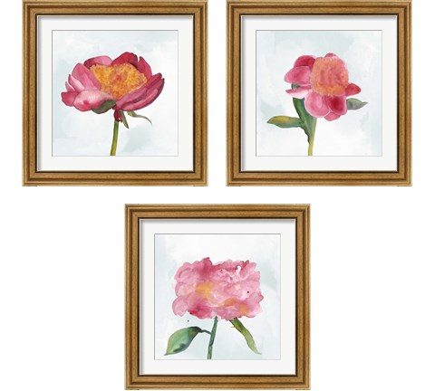 Joyful Peony 3 Piece Framed Art Print Set by Alicia Ludwig