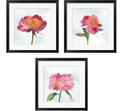 Joyful Peony 3 Piece Framed Art Print Set by Alicia Ludwig