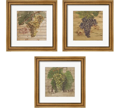 Grape Crate 3 Piece Framed Art Print Set by Nobleworks Inc.