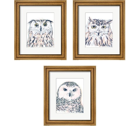 Funky Owl Portrait 3 Piece Framed Art Print Set by June Erica Vess