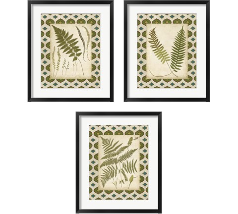 Moroccan Ferns  3 Piece Framed Art Print Set by Vision Studio