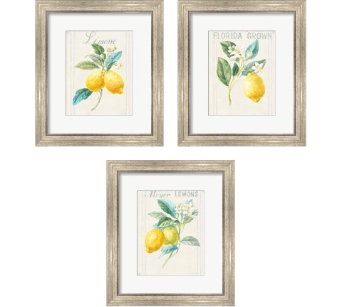 Floursack Lemon 3 Piece Framed Art Print Set by Danhui Nai