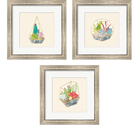 Succulent Terrarium 3 Piece Framed Art Print Set by Wild Apple Portfolio