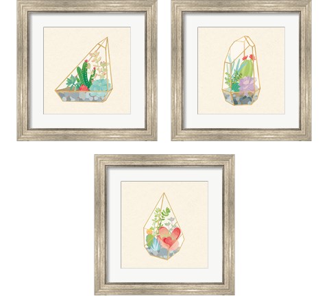 Succulent Terrarium 3 Piece Framed Art Print Set by Wild Apple Portfolio