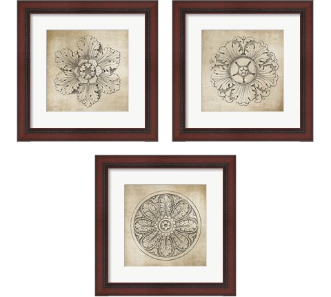 Rosette Neutral 3 Piece Framed Art Print Set by Wild Apple Portfolio