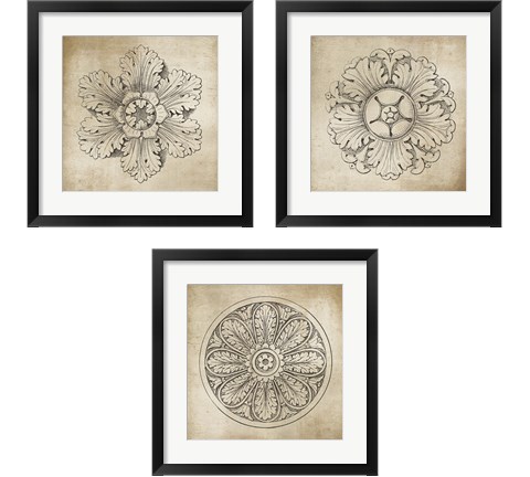 Rosette Neutral 3 Piece Framed Art Print Set by Wild Apple Portfolio