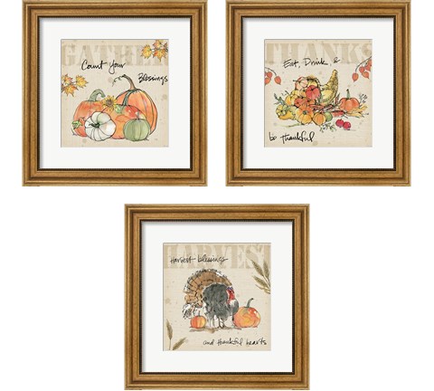 Be Thankful 3 Piece Framed Art Print Set by Anne Tavoletti