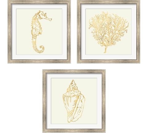 Coastal Breese Shell Sketches 3 Piece Framed Art Print Set by Anne Tavoletti