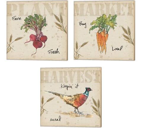 Farmers Feast 3 Piece Canvas Print Set by Anne Tavoletti