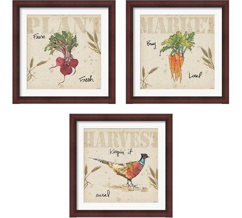 Farmers Feast 3 Piece Framed Art Print Set by Anne Tavoletti