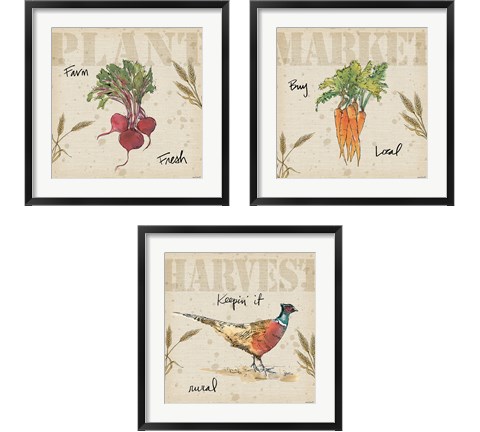 Farmers Feast 3 Piece Framed Art Print Set by Anne Tavoletti