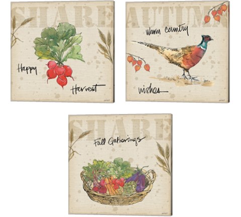 Farmers Feast Harvest 3 Piece Canvas Print Set by Anne Tavoletti