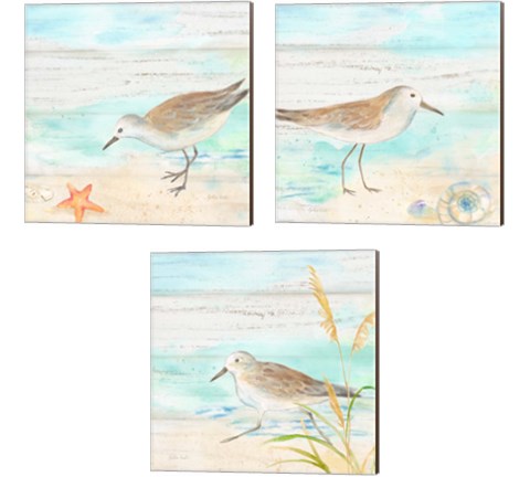 Sandpiper Beach 3 Piece Canvas Print Set by Cynthia Coulter