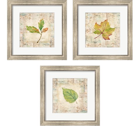 Nature Walk Leaves 3 Piece Framed Art Print Set by Cynthia Coulter