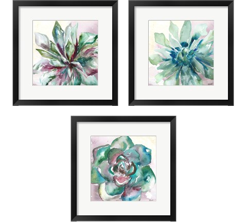 Succulent Watercolor  3 Piece Framed Art Print Set by Tre Sorelle Studios