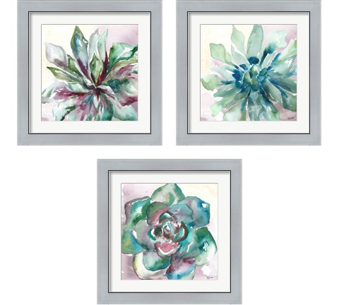 Succulent Watercolor  3 Piece Framed Art Print Set by Tre Sorelle Studios