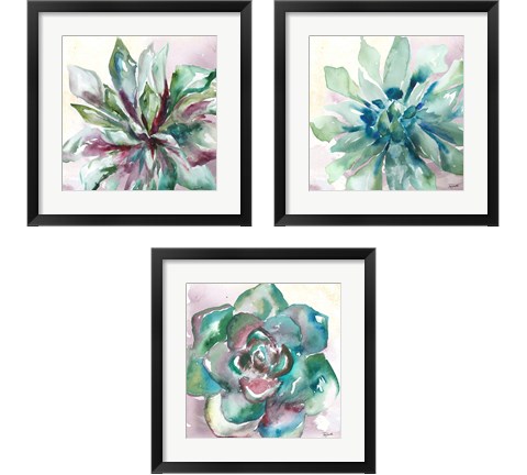 Succulent Watercolor  3 Piece Framed Art Print Set by Tre Sorelle Studios