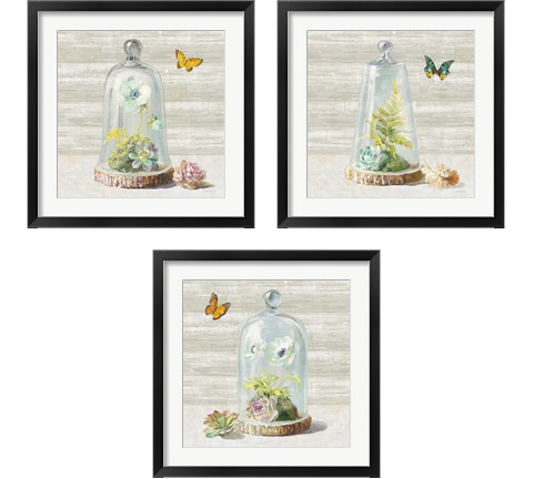 Succulent Garden 3 Piece Framed Art Print Set by Danhui Nai