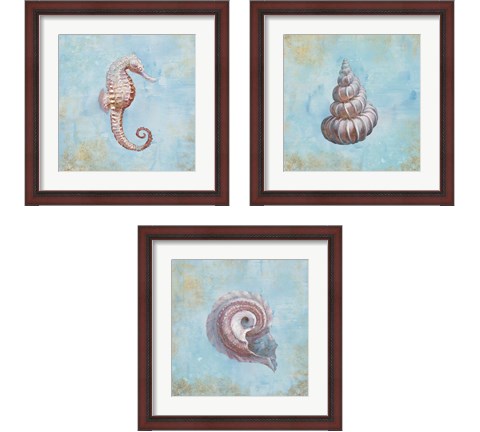 Treasures from the Sea Watercolor 3 Piece Framed Art Print Set by Danhui Nai