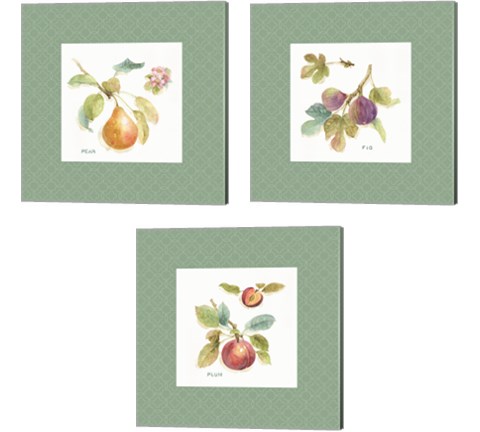 Orchard Bloom Border 3 Piece Canvas Print Set by Lisa Audit