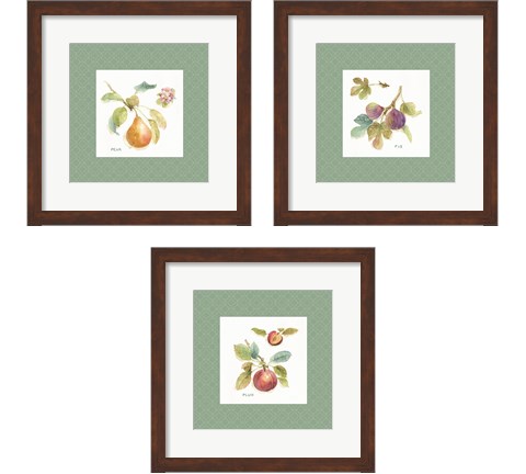 Orchard Bloom Border 3 Piece Framed Art Print Set by Lisa Audit