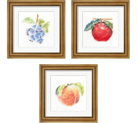 Garden Delight 3 Piece Framed Art Print Set by Emily Adams