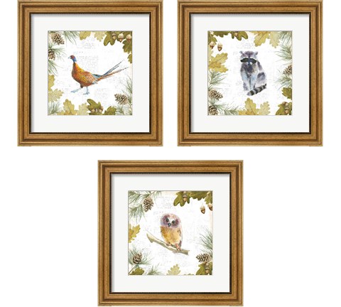 Into the Woods 3 Piece Framed Art Print Set by Emily Adams