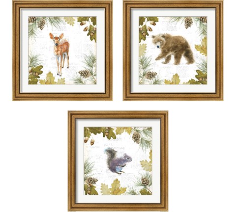 Into the Woods 3 Piece Framed Art Print Set by Emily Adams