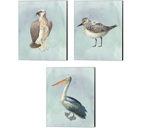 Watercolor Beach Bird 3 Piece Canvas Print Set by Grace Popp