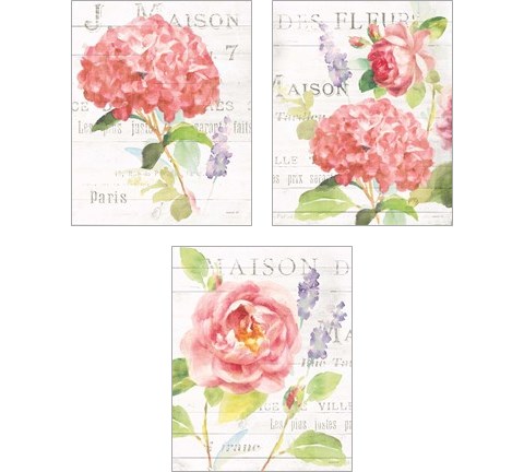 Maison Des Fleurs 3 Piece Art Print Set by Danhui Nai