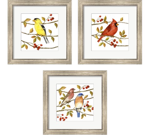 Birds & Berries 3 Piece Framed Art Print Set by Jane Maday