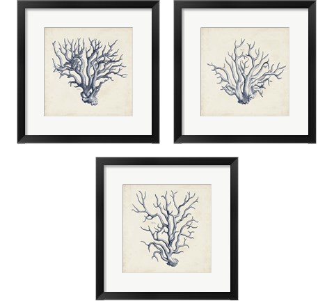 Coral Trio in Indigo 3 Piece Framed Art Print Set by Vision Studio