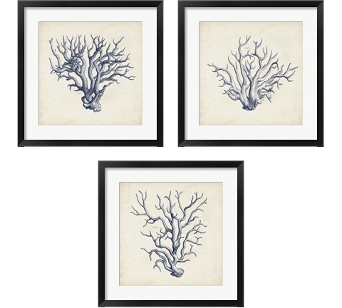 Coral Trio in Indigo 3 Piece Framed Art Print Set by Vision Studio