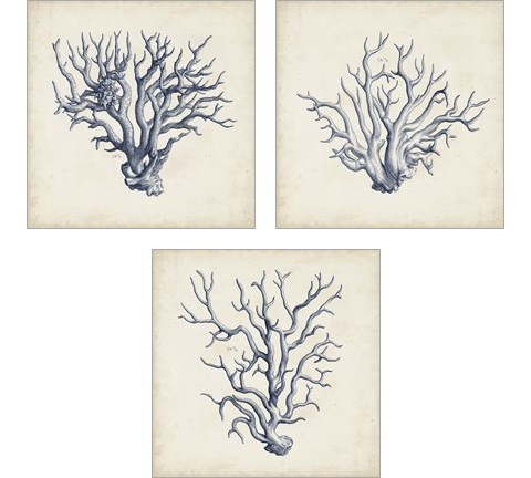 Coral Trio in Indigo 3 Piece Art Print Set by Vision Studio