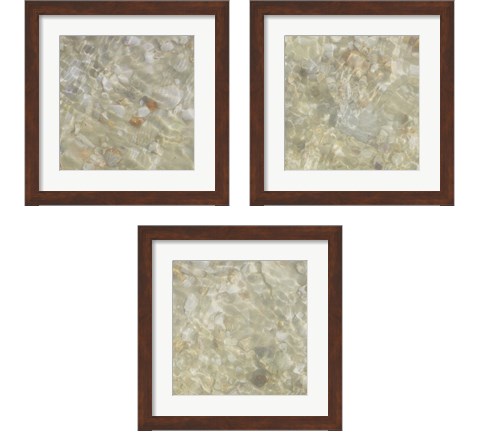 Shell Squares 3 Piece Framed Art Print Set by Pam Ilosky