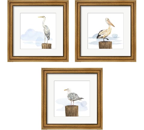 Birds of the Coast 3 Piece Framed Art Print Set by Tara Reed