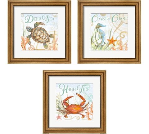 Ocean Life 3 Piece Framed Art Print Set by Janice Gaynor