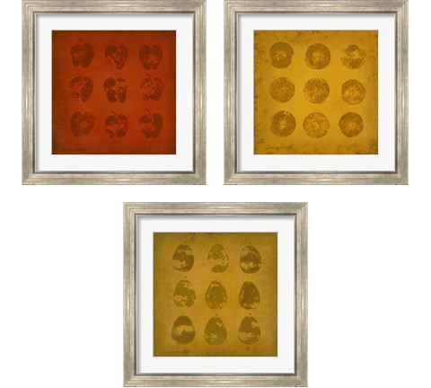 All Lined Up Fruits 3 Piece Framed Art Print Set by Lanie Loreth