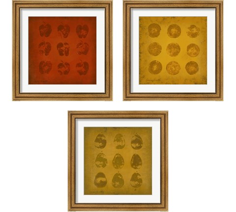 All Lined Up Fruits 3 Piece Framed Art Print Set by Lanie Loreth