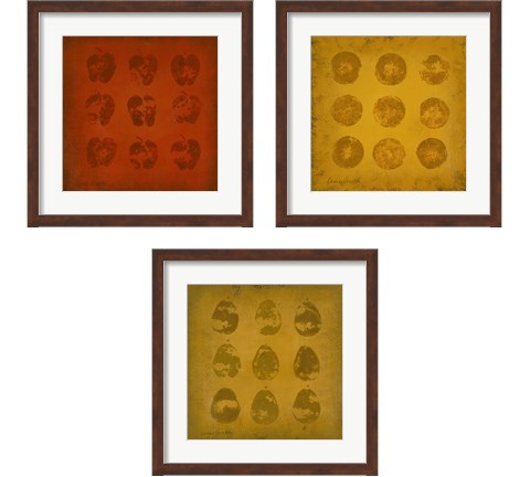 All Lined Up Fruits 3 Piece Framed Art Print Set by Lanie Loreth