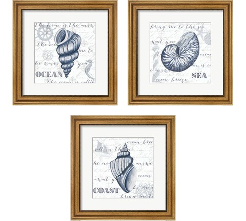 Indigo Shell 3 Piece Framed Art Print Set by Gina Ritter