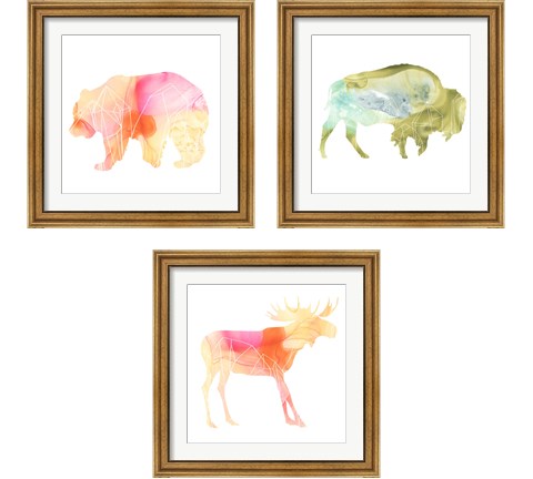 Agate Animal 3 Piece Framed Art Print Set by June Erica Vess