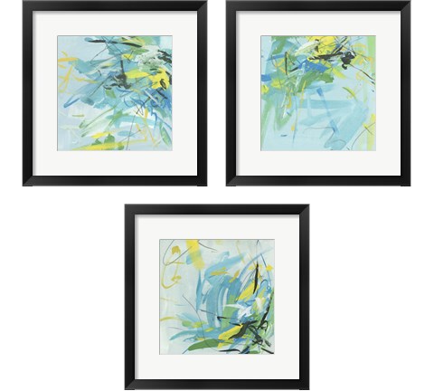 Summer Symphony 3 Piece Framed Art Print Set by Melissa Wang