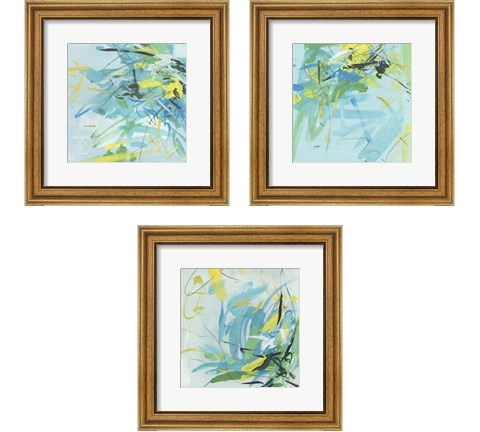 Summer Symphony 3 Piece Framed Art Print Set by Melissa Wang