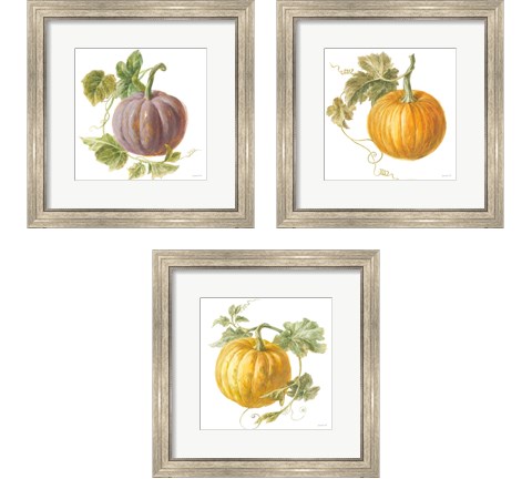 Floursack Autumn on White 3 Piece Framed Art Print Set by Danhui Nai