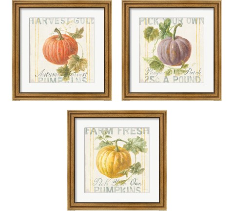 Floursack Autumn 3 Piece Framed Art Print Set by Danhui Nai