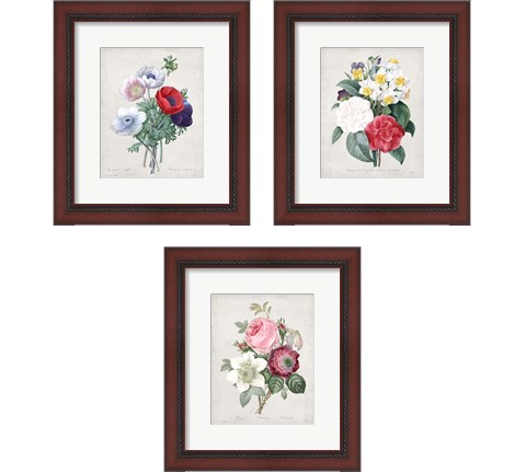 Bouquet  3 Piece Framed Art Print Set by Pierre-Joseph Redoute