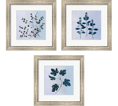 Botanical StudyBlue 3 Piece Framed Art Print Set by Julia Purinton