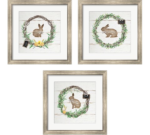 Spring Wreath 3 Piece Framed Art Print Set by Jennifer Pugh